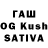 Галлюциногенные грибы Psilocybine cubensis Tien LK