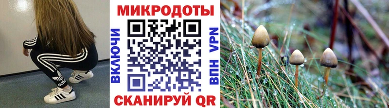 Галлюциногенные грибы ЛСД Купить где Куровское